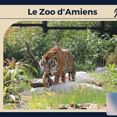 Le Carre D'Or - Appartement Confort - Jardin Prive Amiens Zewnętrze zdjęcie
